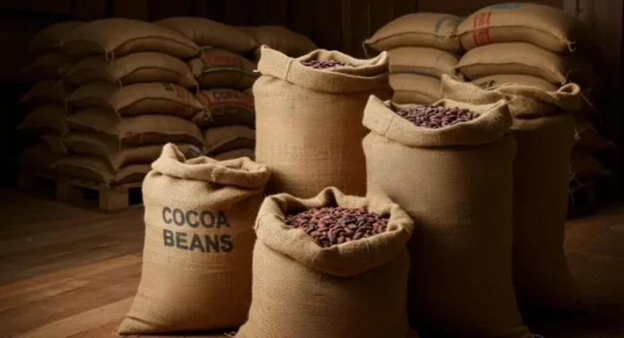 Cocoa-Bean-Bags